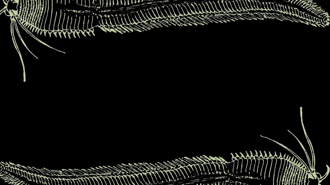 Podres Alegorias backdrop