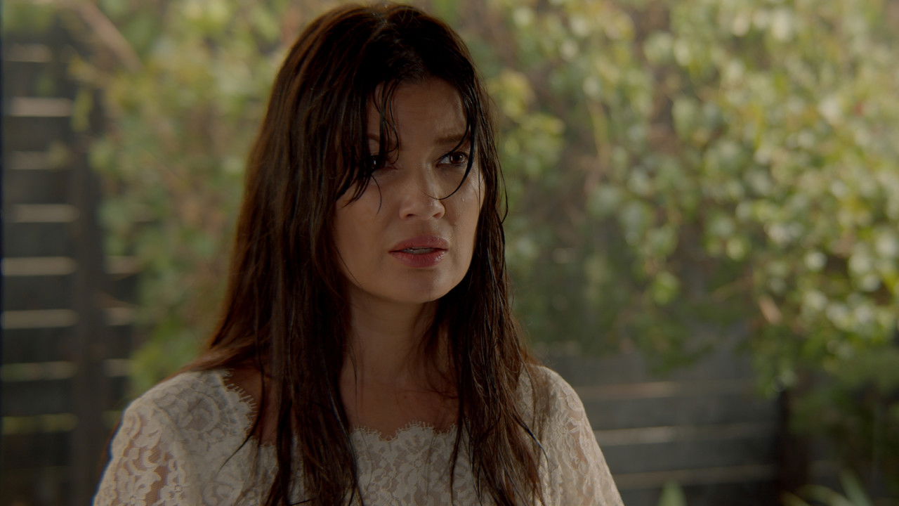 Holiday Boyfriend backdrop