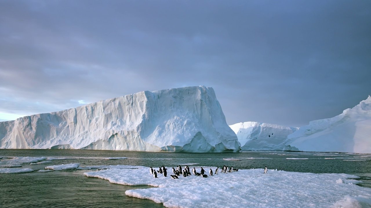 Antarctica: On the Edge backdrop