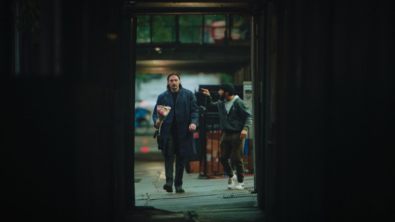 One Night in Brooklyn backdrop