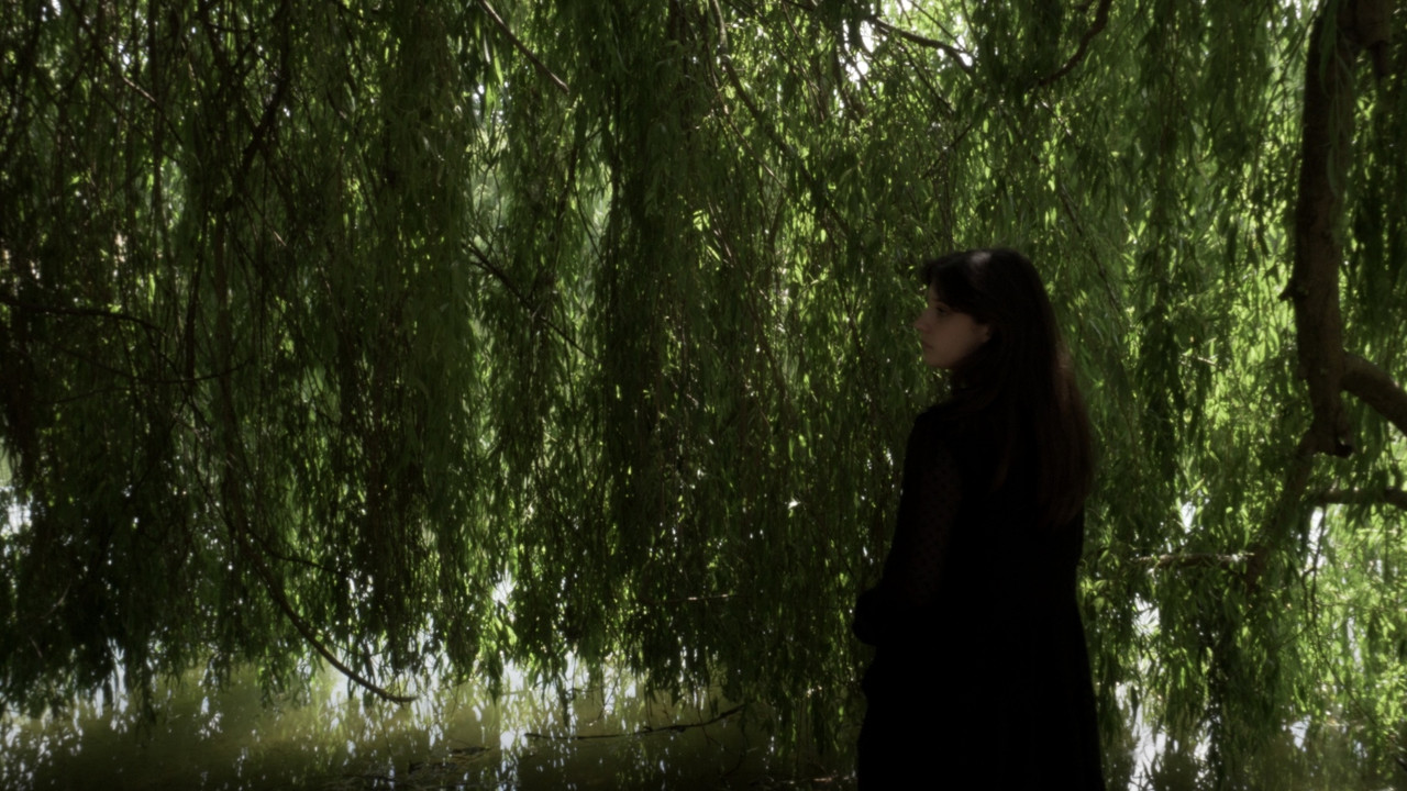 Que reste-t-il de nous ? backdrop