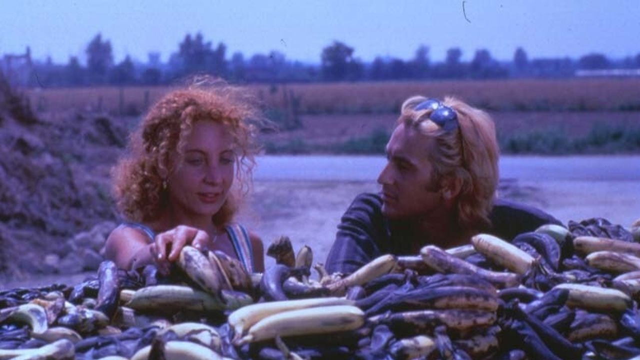 Black Holes backdrop