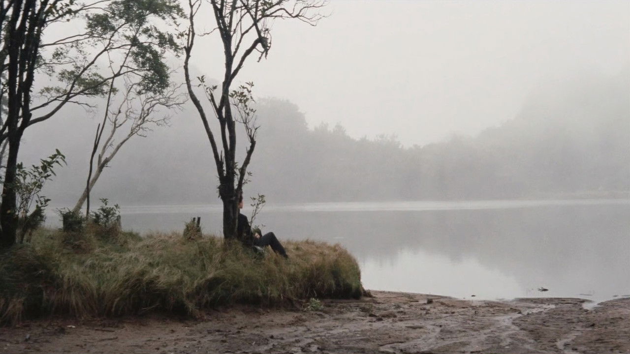 School Festival Night: A Sweet Experience backdrop