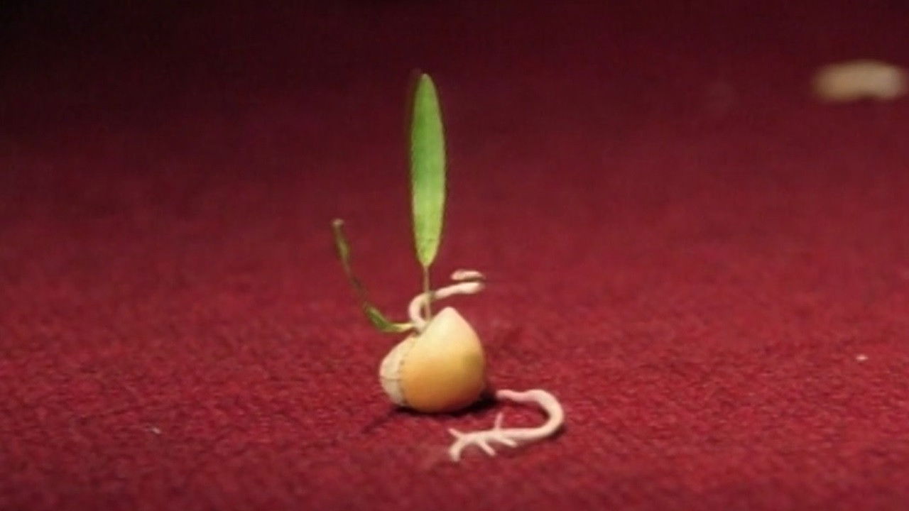 A Love Story backdrop