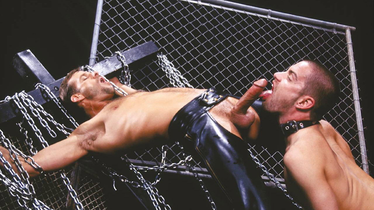 Monster Bang Gold 2 backdrop