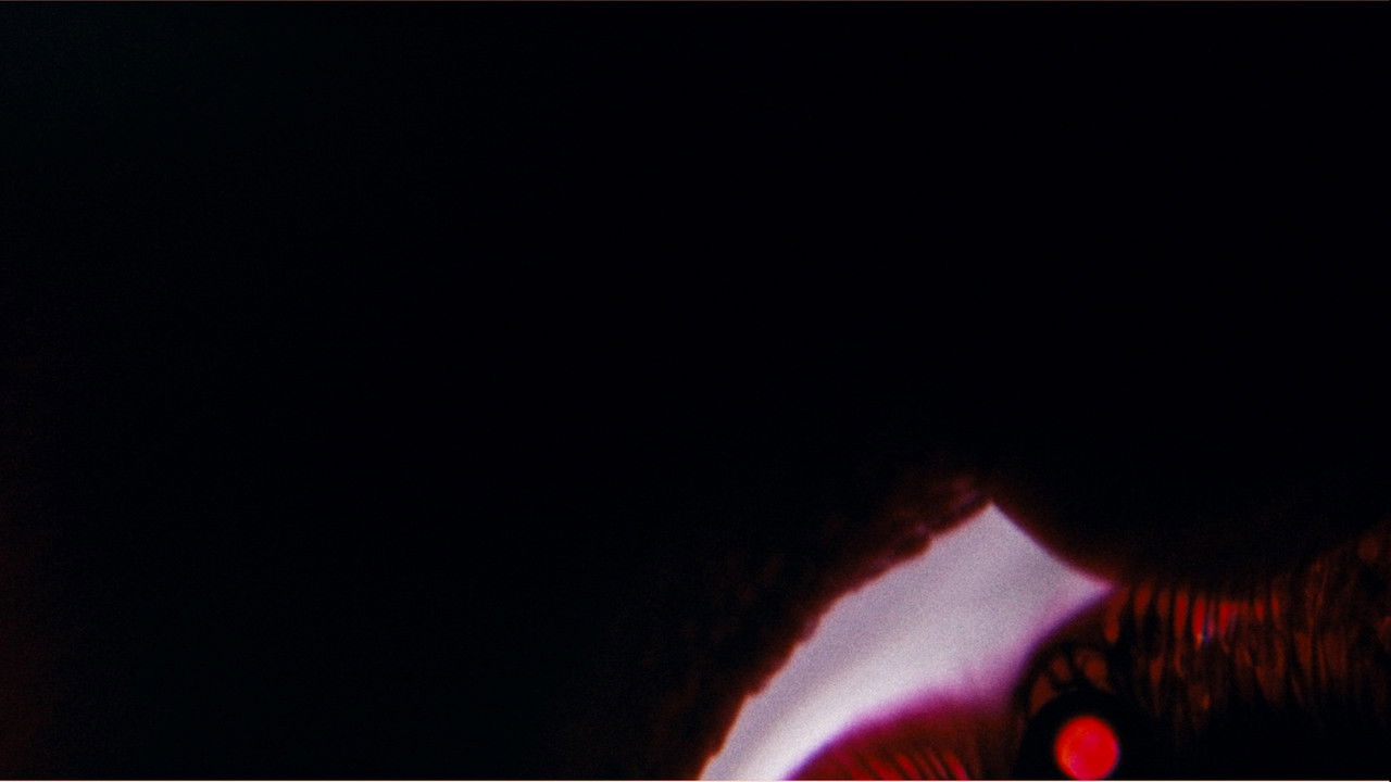 Bela Belara's A Vampire backdrop