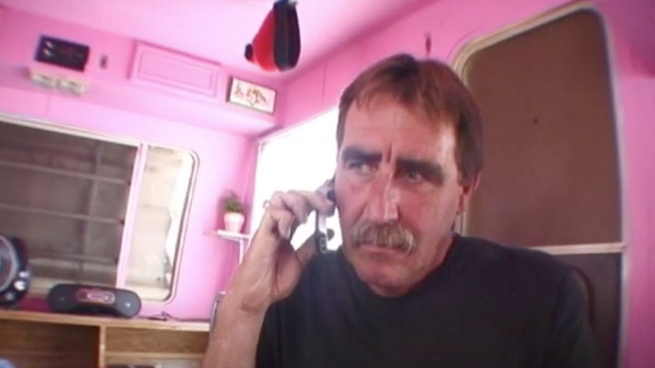 Doily's Summer of Freak Occurrences backdrop