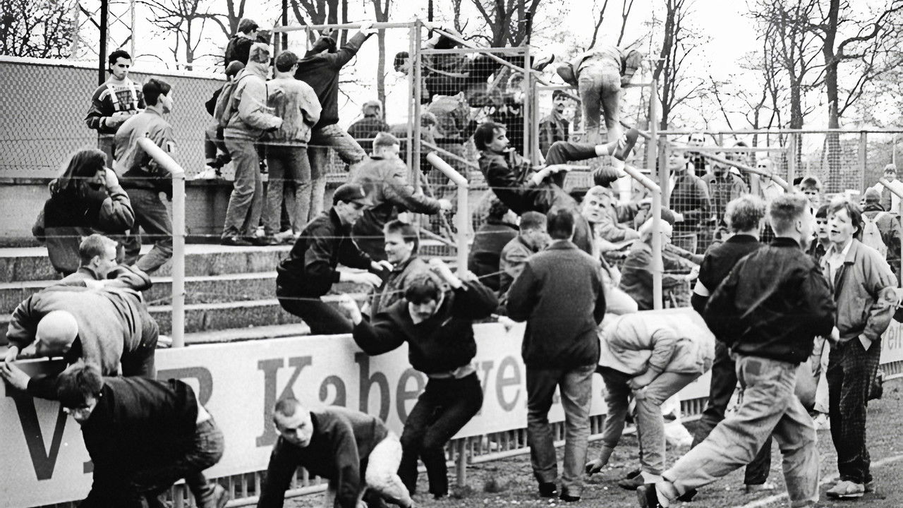 Hooligans & Thugs: Soccer's Most Violent Fan Fights backdrop