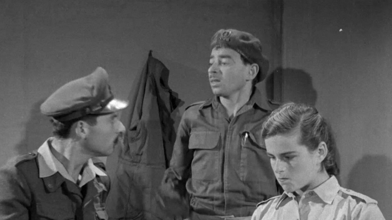 Moishe Air-Condition backdrop