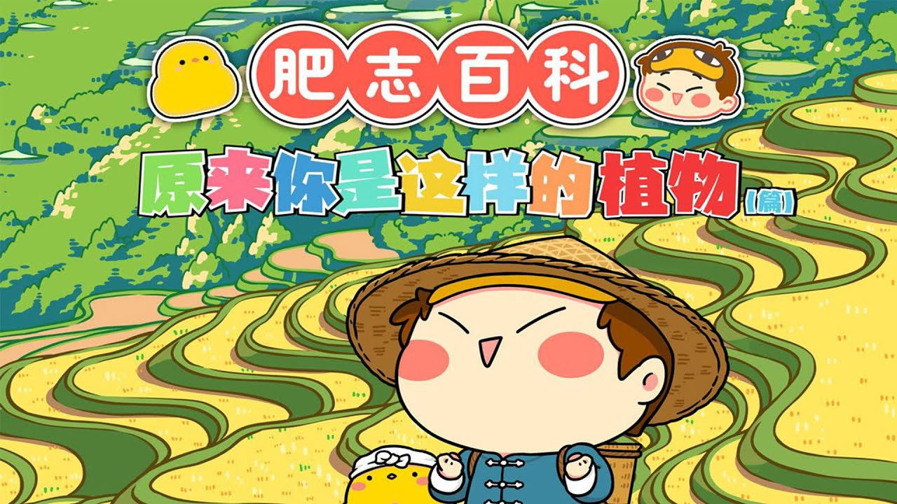 肥志百科 backdrop