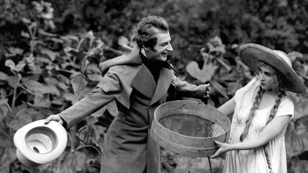 Pan Tadeusz backdrop