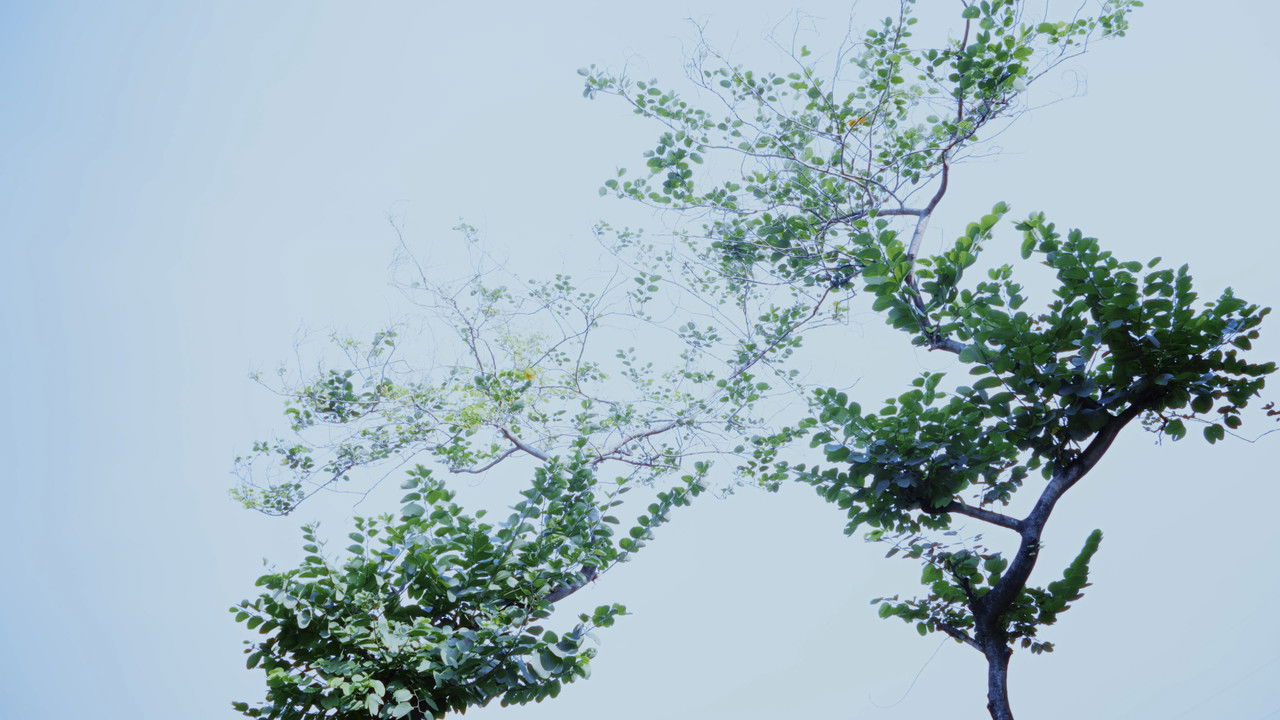 Hypothesis of Barrier Agreed Upon backdrop