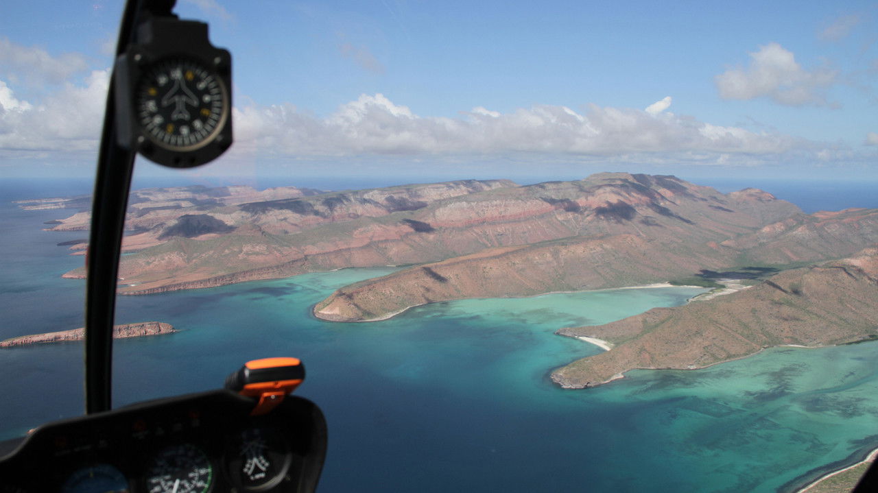 Garden in the Sea backdrop