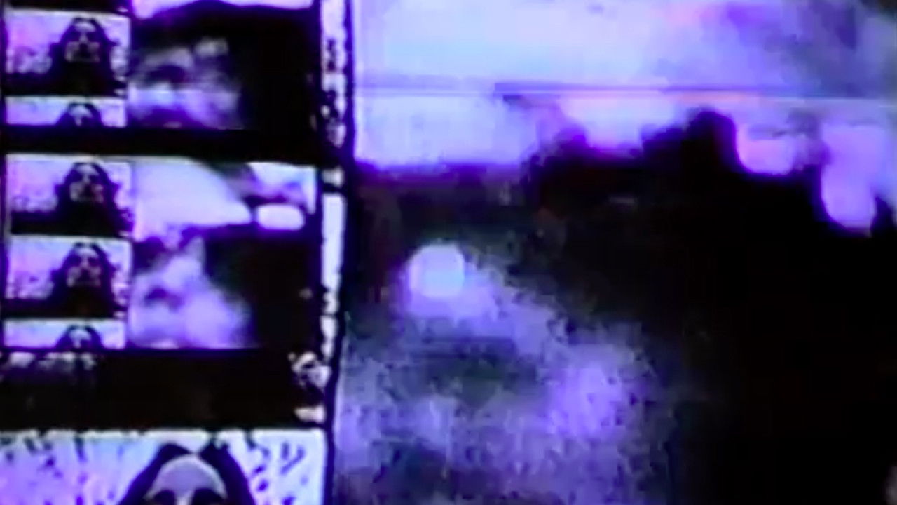 Tree of Consumption backdrop