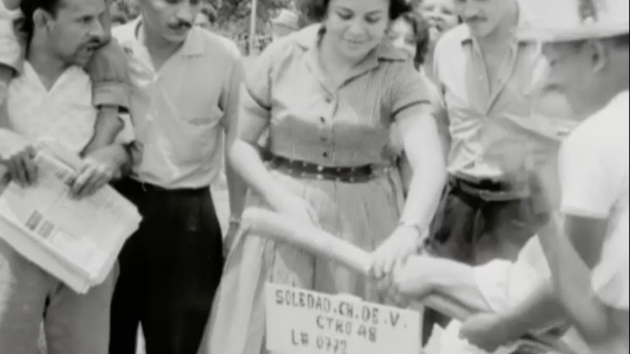 A Letter from Colombia backdrop