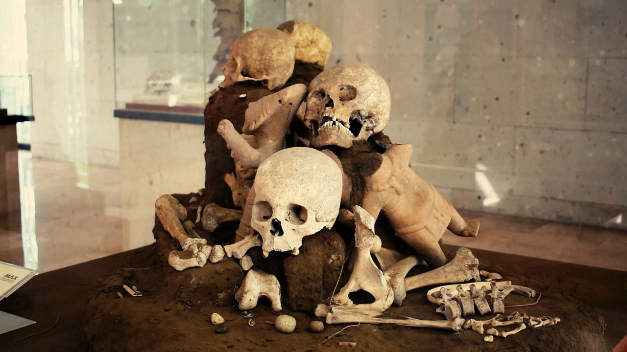 No Se Acabarán Mis Flores backdrop