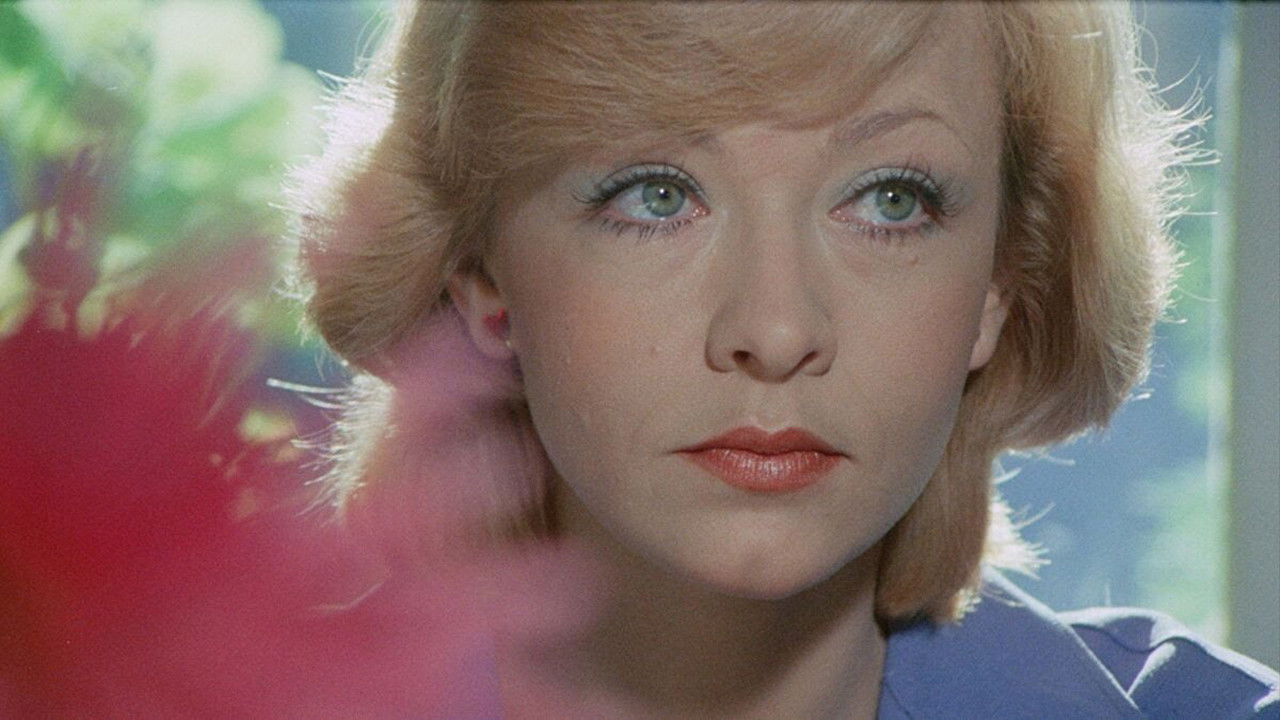 Pavle Pavlovic backdrop