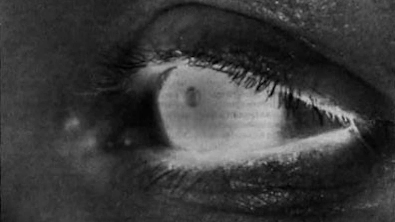 The Lighted Field backdrop