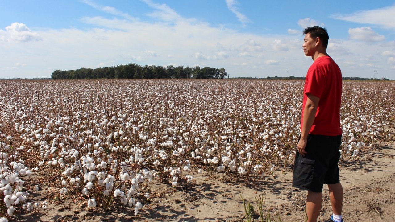 Far East Deep South backdrop