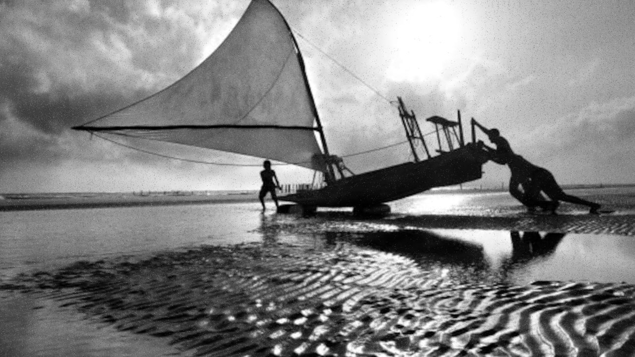 It's All True backdrop