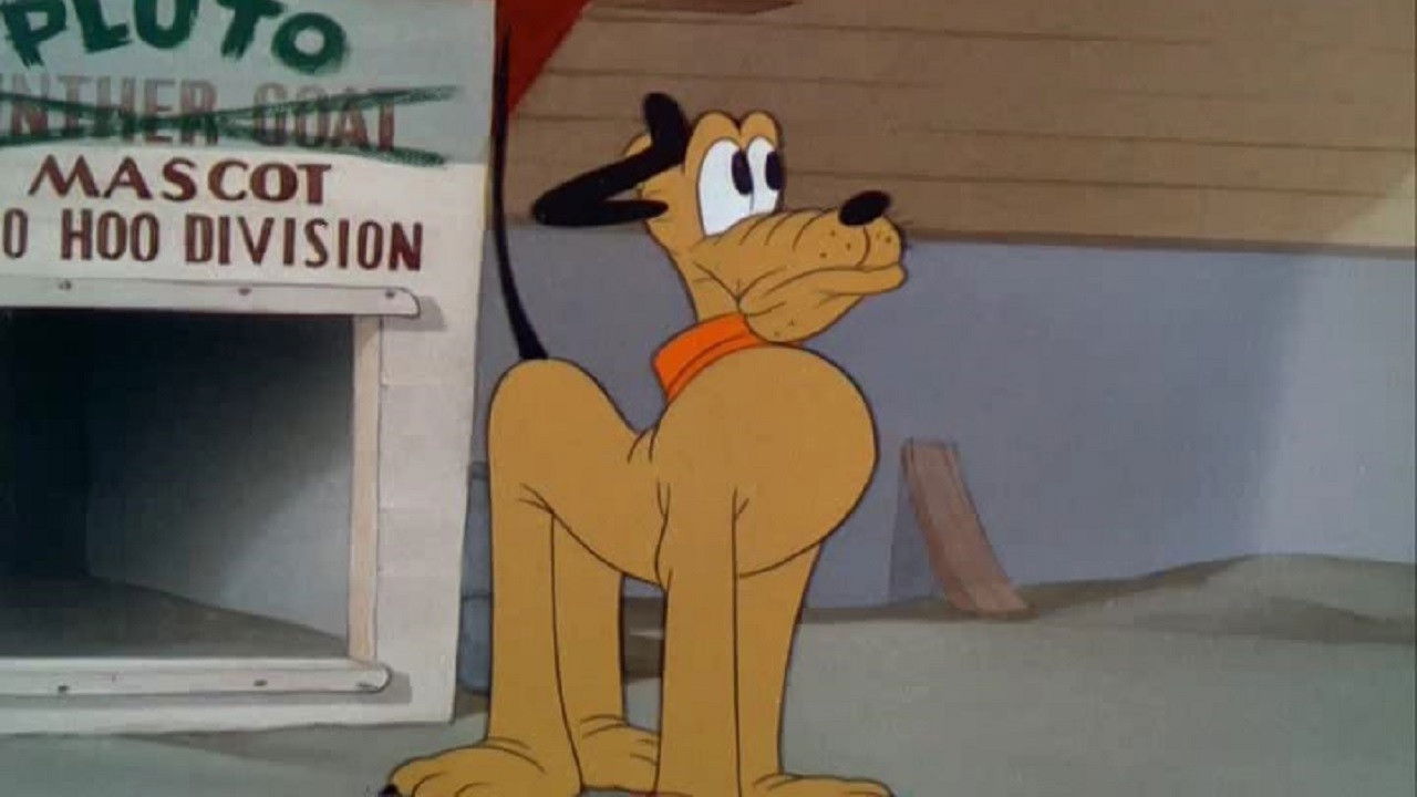 The Army Mascot backdrop