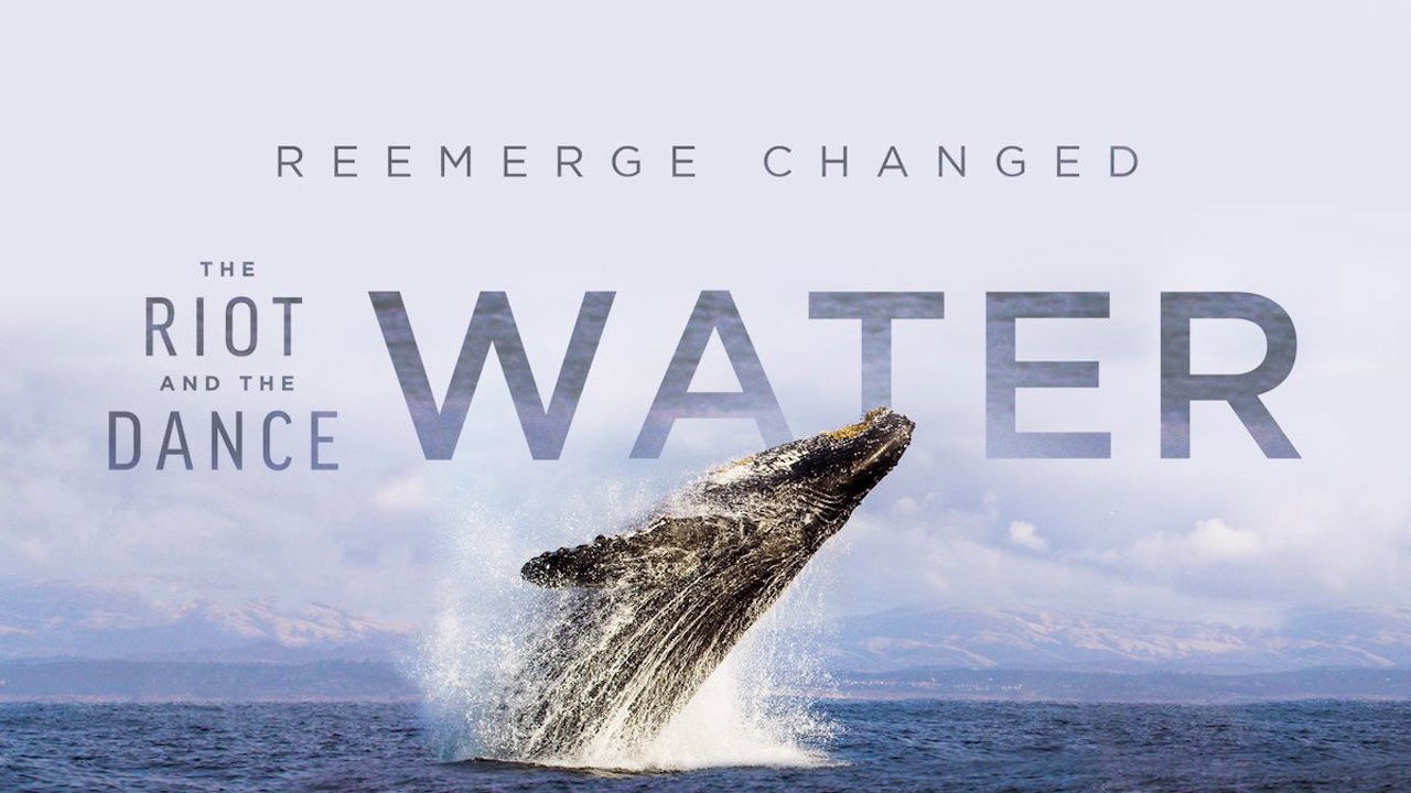 The Riot and the Dance: Water backdrop