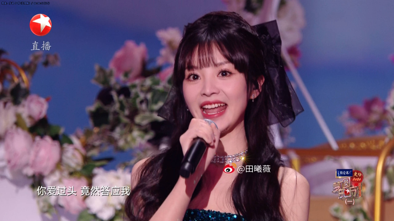 梦圆东方·2024跨年盛典 backdrop