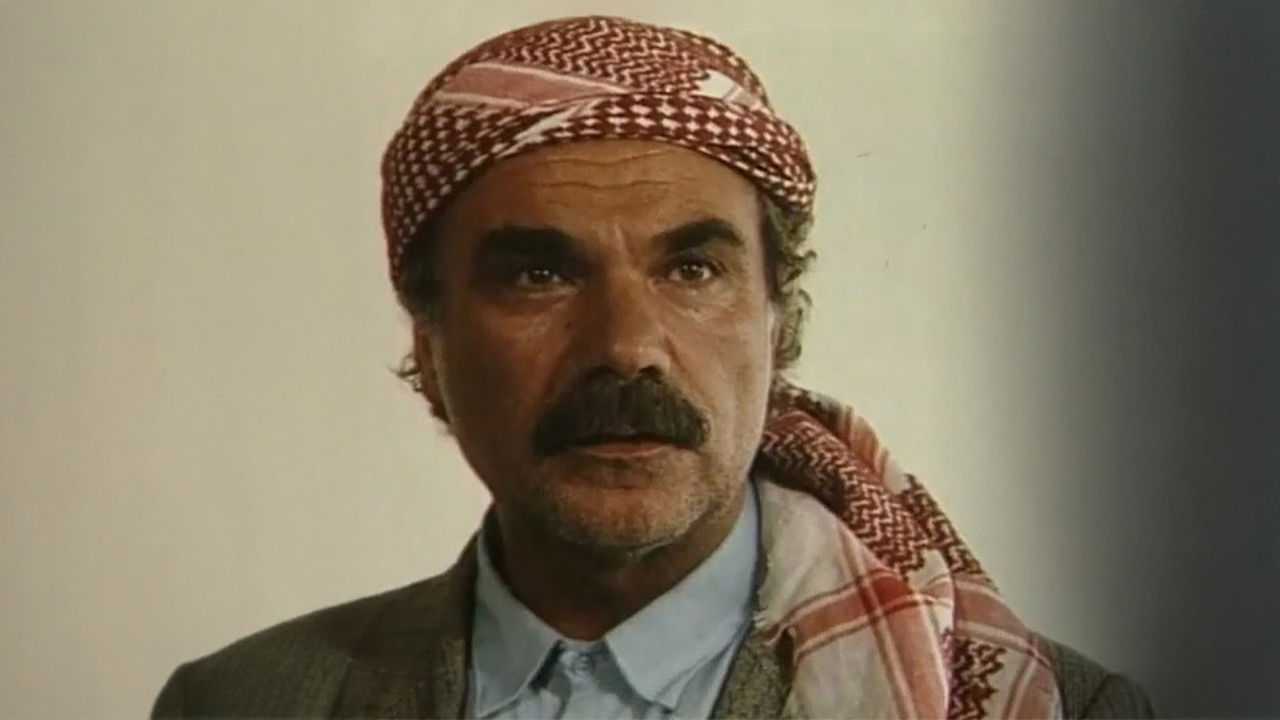 Kurşun Adres Sormaz backdrop