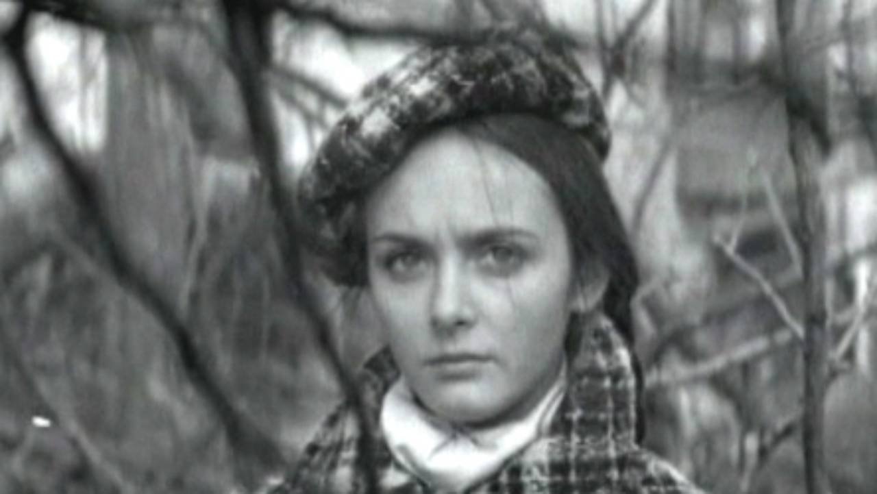 No One in Your Place backdrop