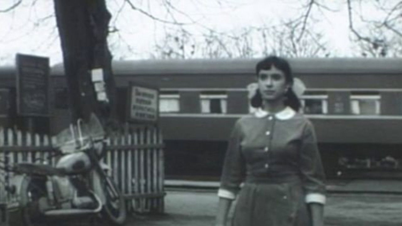 This Solid Ground backdrop