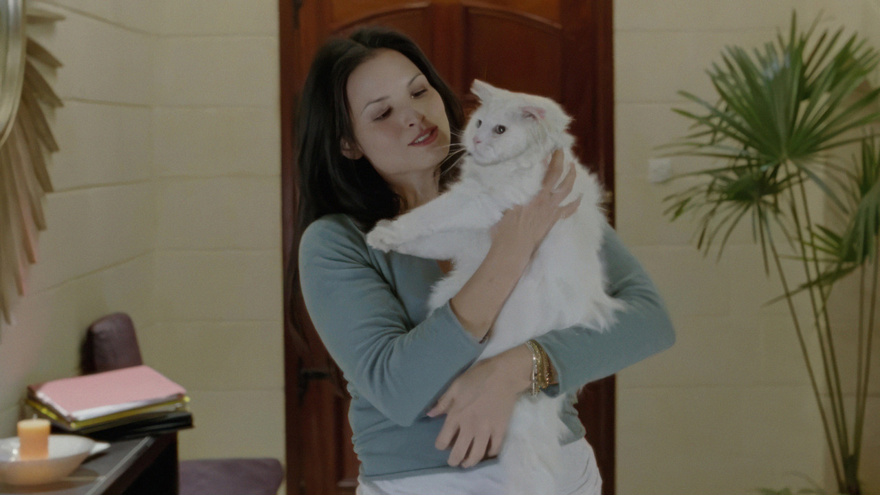 Under Protection backdrop