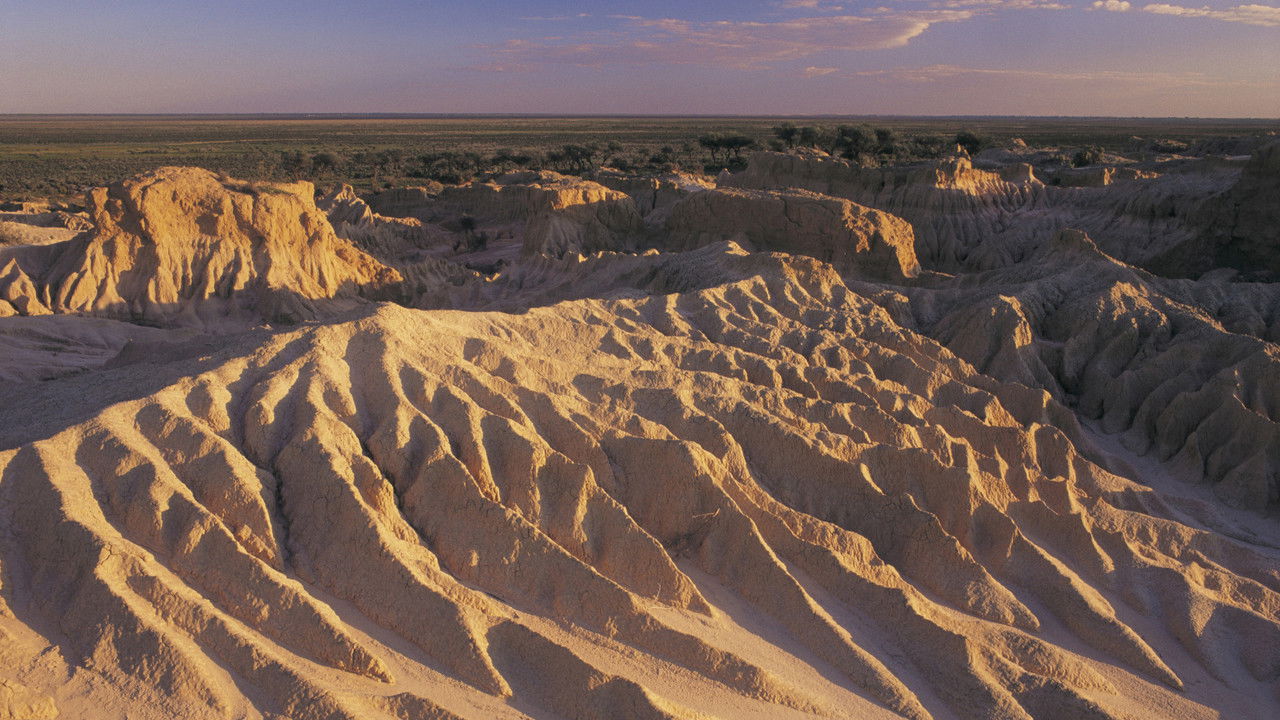 Message from Mungo backdrop