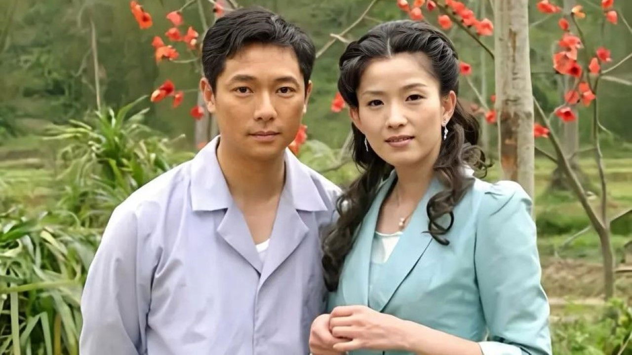 木棉花的春天 backdrop