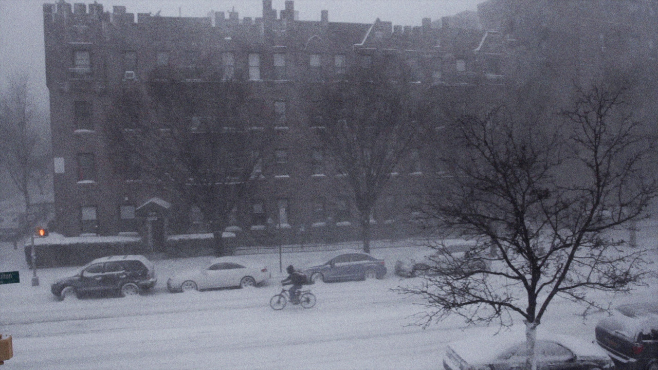 While We Are Here backdrop