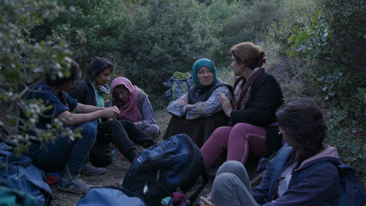 Sky and Ground backdrop
