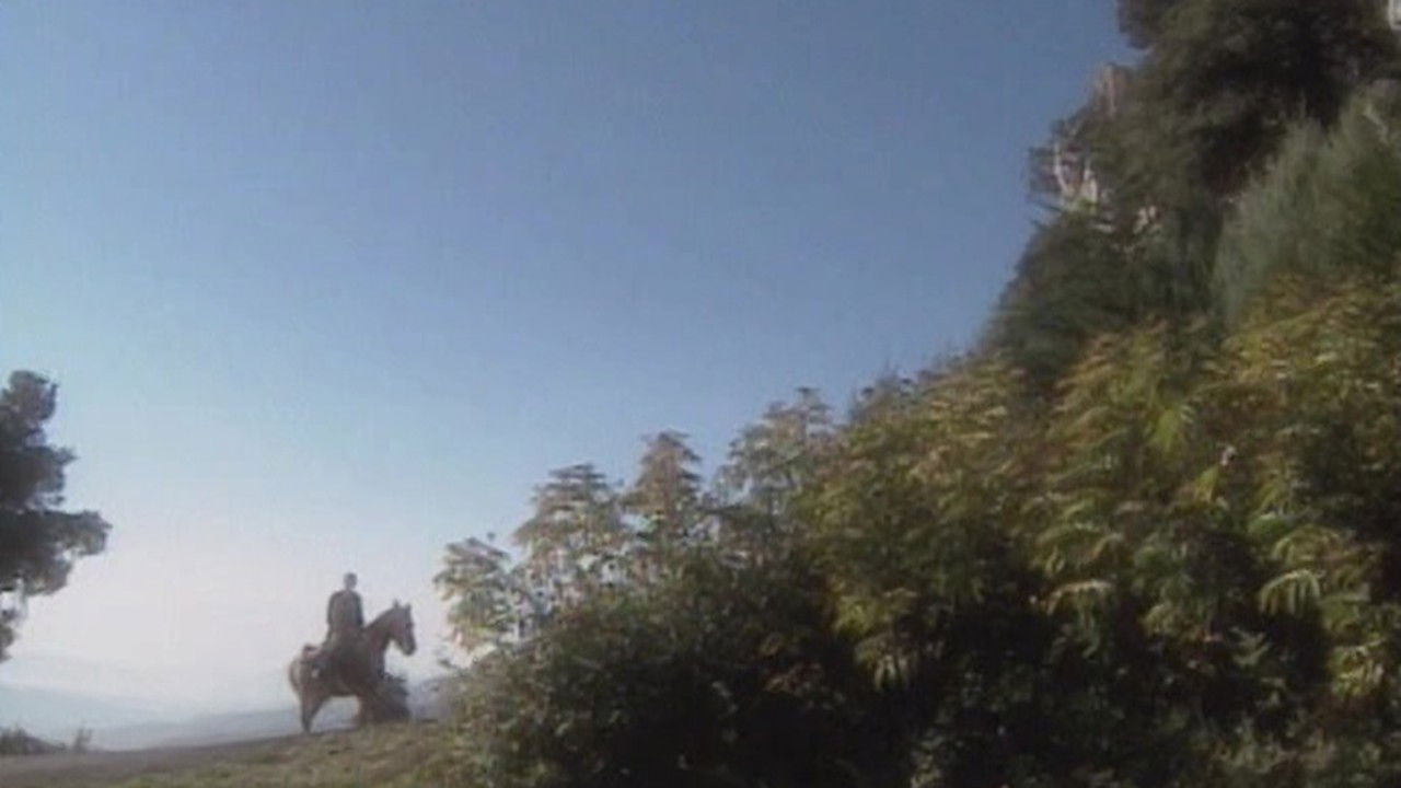 St. Gerard Majella: A Saint for Our Times backdrop