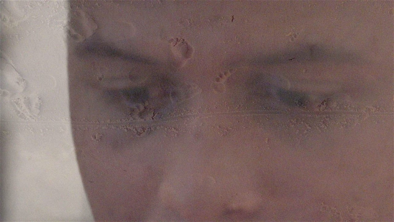 Inauguration Day backdrop