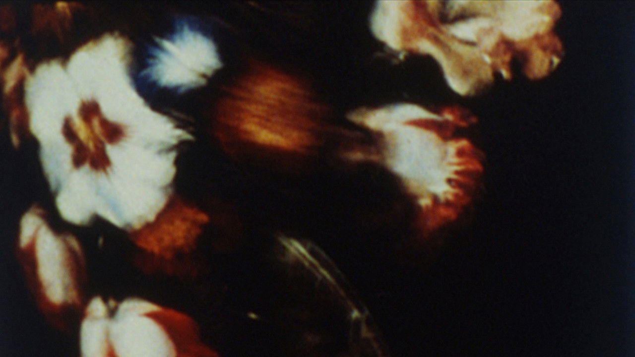 The Parable of the Tulip Painter and the Fly backdrop