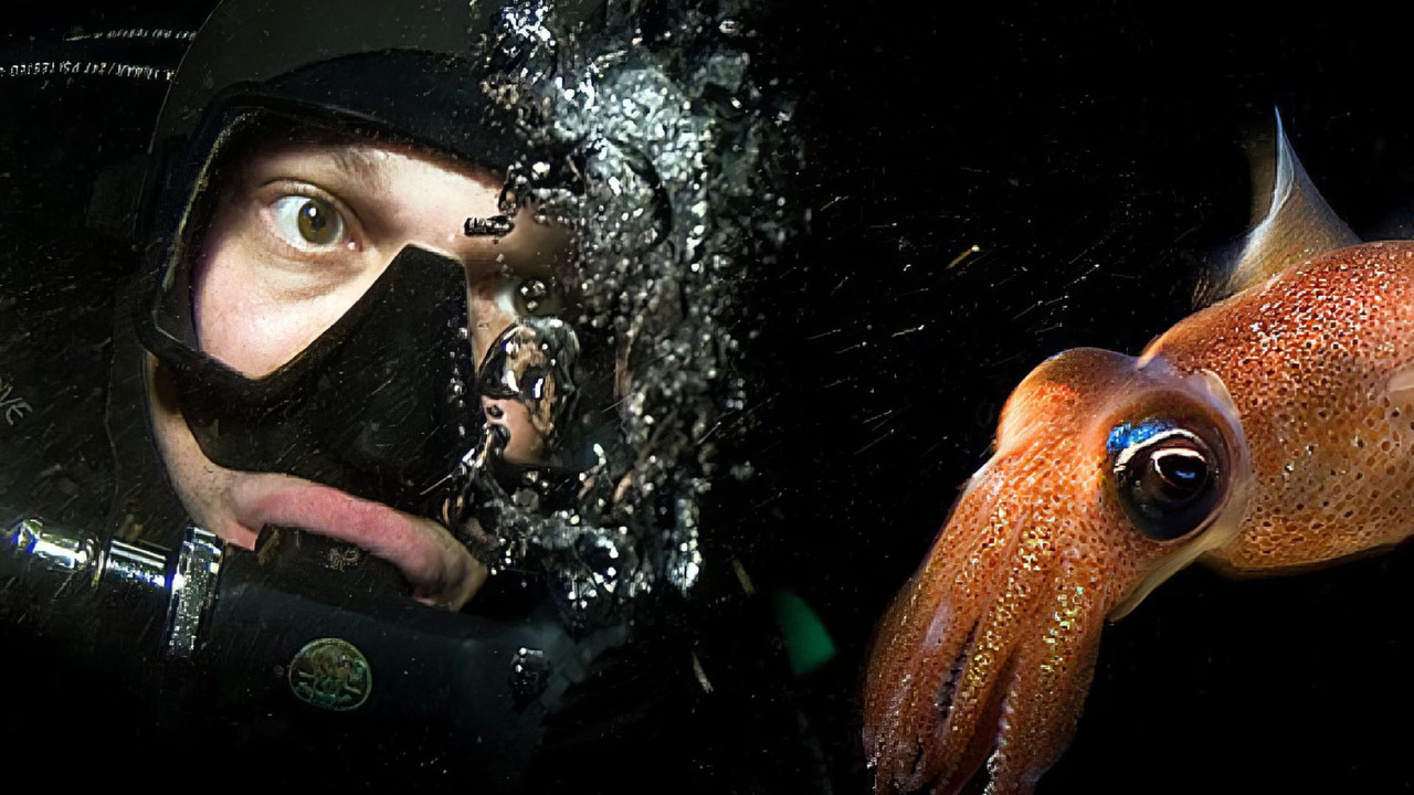 Västerhavets Hemligheter backdrop