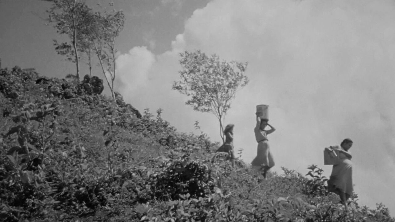 Everything Seemed Possible backdrop