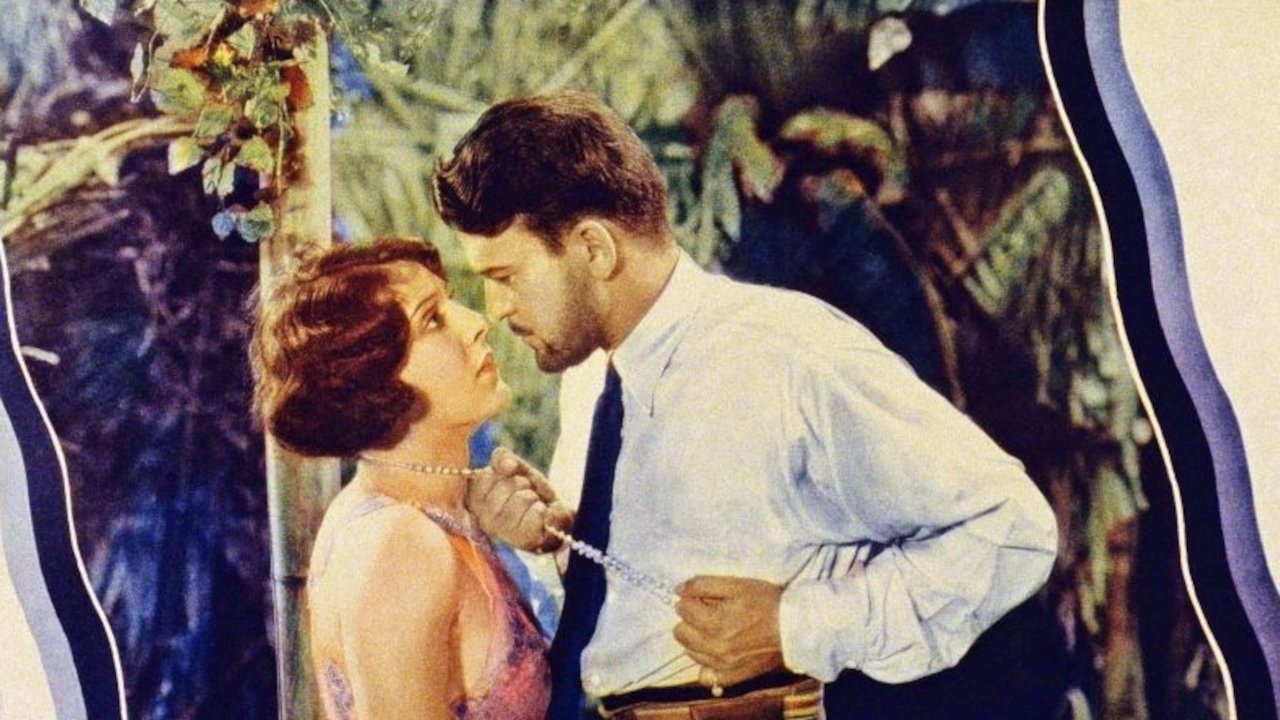 Tropical Nights backdrop