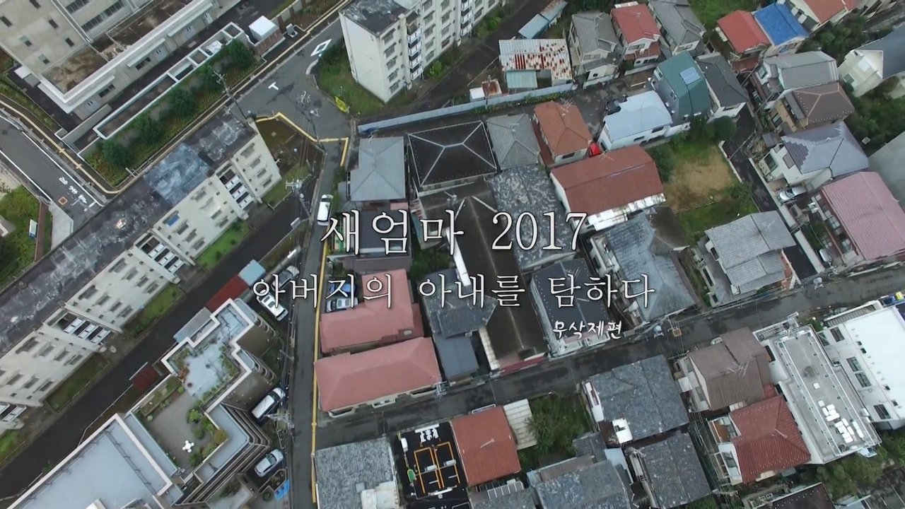 새엄마 2017: 아버지의 아내를 탐하다 backdrop