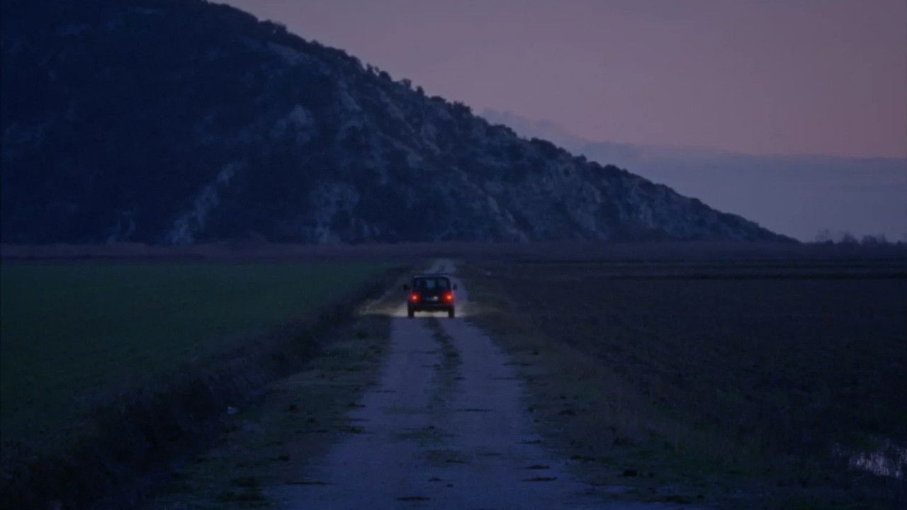 Last Tropics backdrop