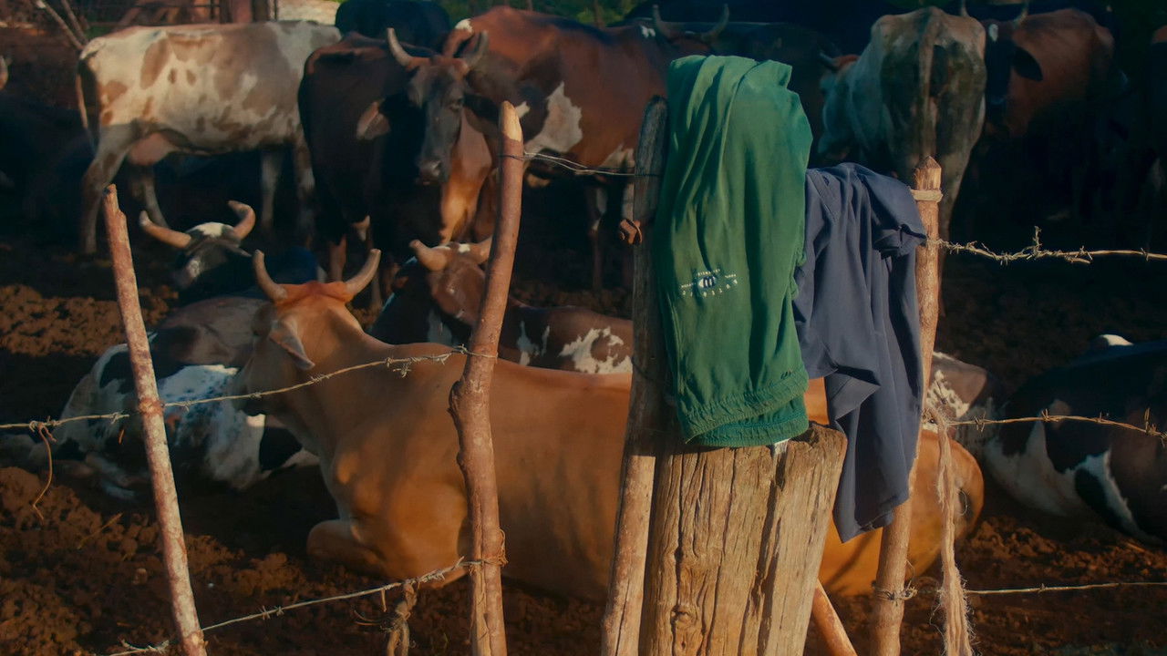 To See Myself I Close My Eyes backdrop