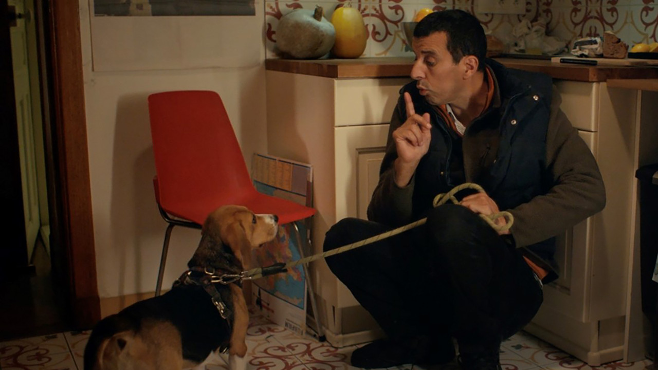 The Dogsitter (Now That I’m a Ghost) backdrop