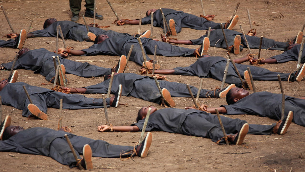 Virgin Margarida backdrop