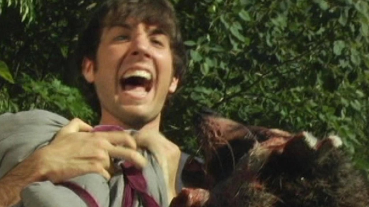 Coons! Night of the Bandits of the Night backdrop