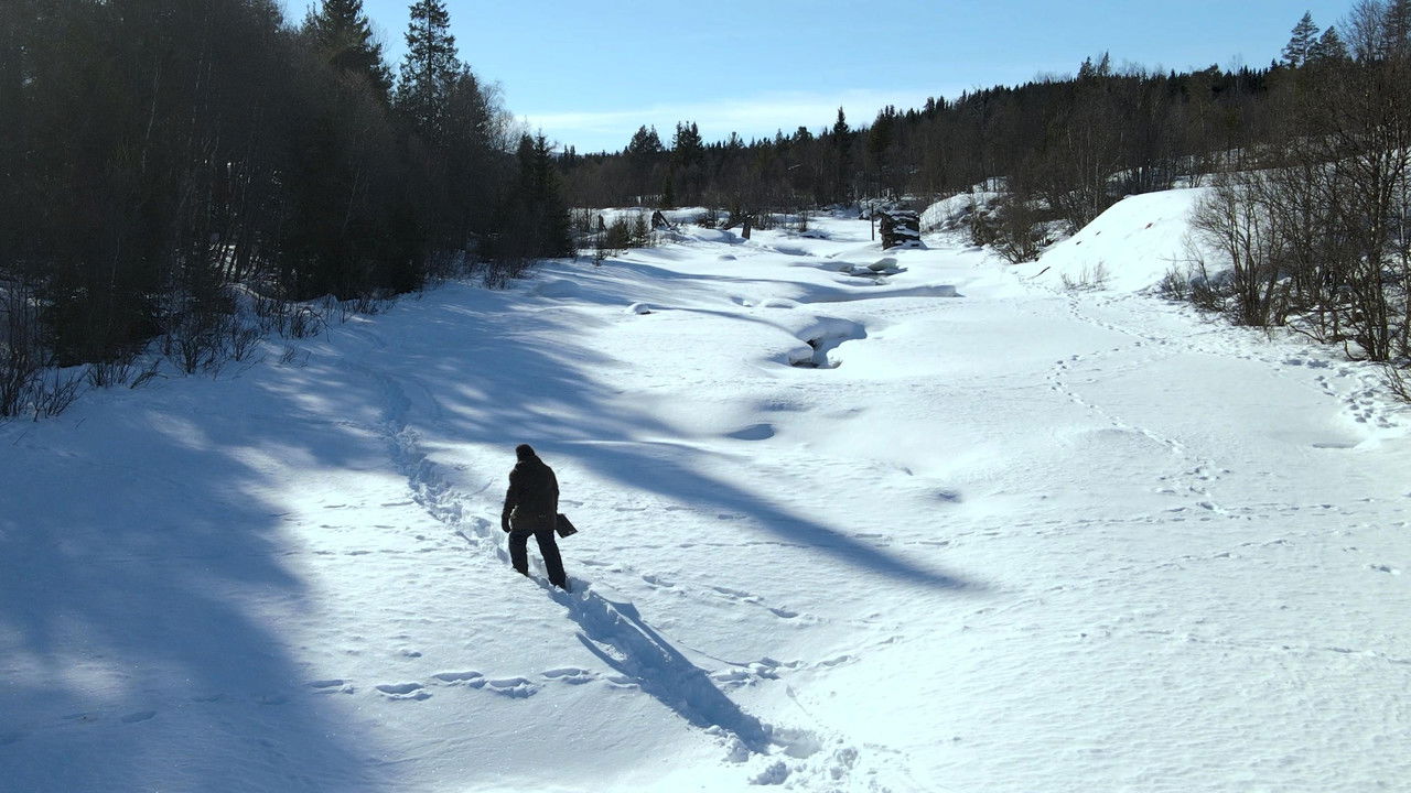 Arctic's Edge backdrop