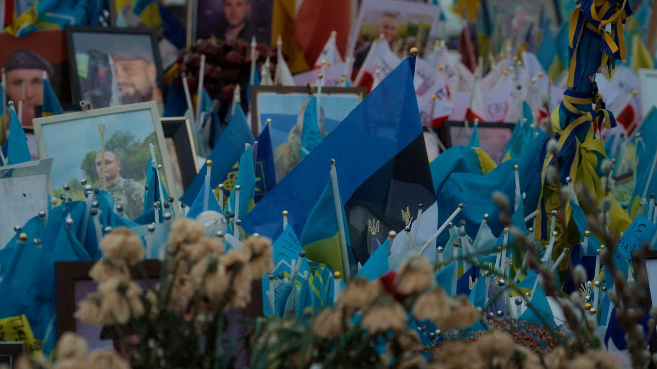 So They Fight backdrop