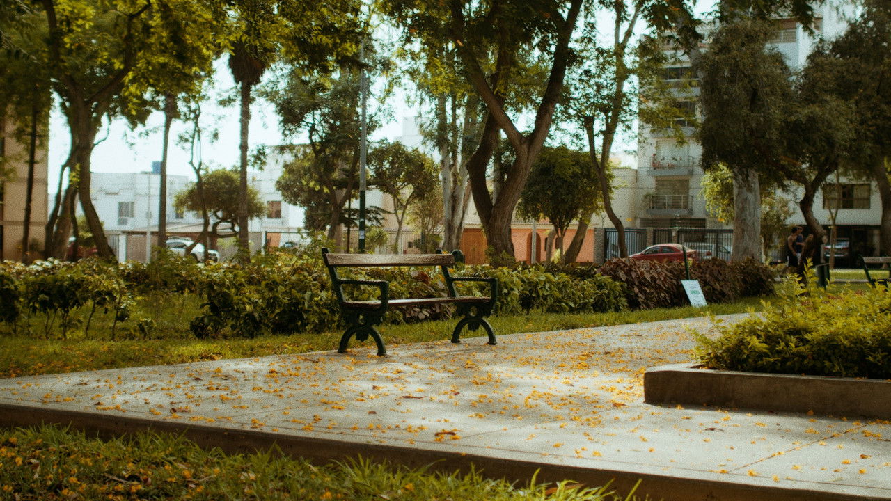 El Instante backdrop